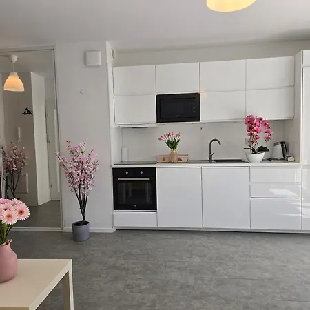 C10 Z Ogrodkiem Free Parking Apartment
